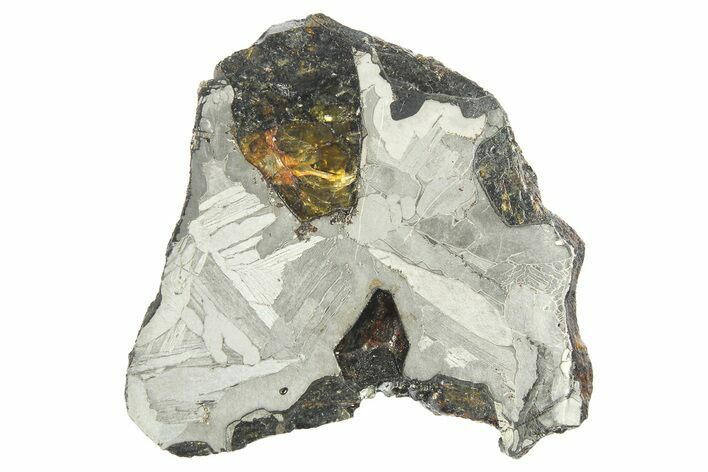 Pallasite Meteorite ( g) Slice - NWA #269633